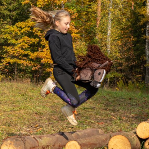 Kasztanowaty konik hobby horse duży A3 kantar HH
